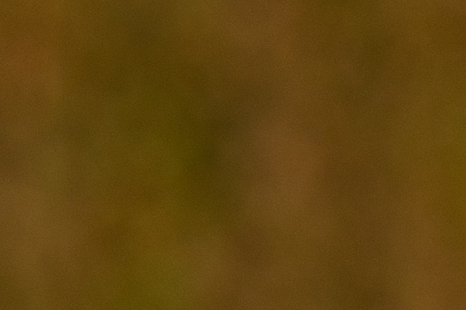 seguro de auto valido en otros países