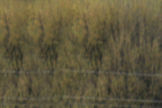 Las mejores opciones de autos usados para jóvenes por menos de $20,000