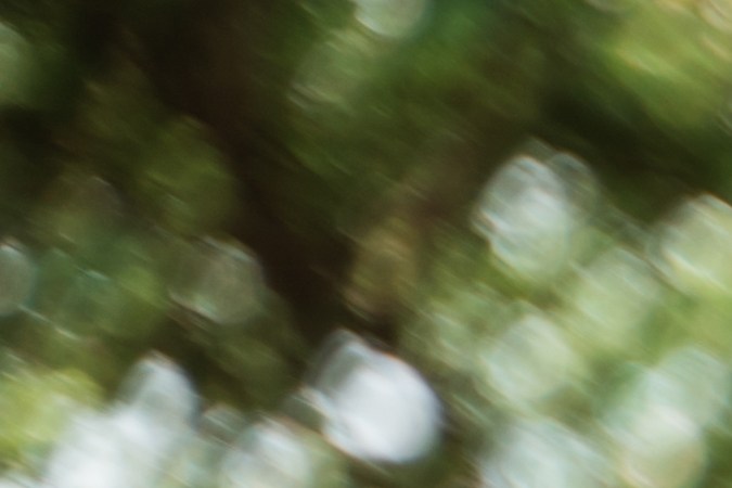 licencia de conducir generación z