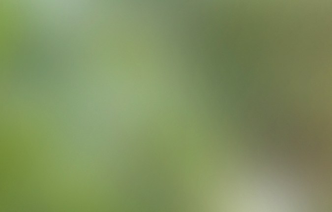 Nueva estrategia de robo de autos con el truco de la naranja