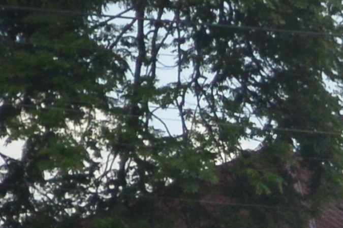 En planes la nueva generación del Mitsubishi Delica para USA