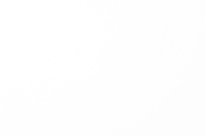 marcas de autos mexicanas