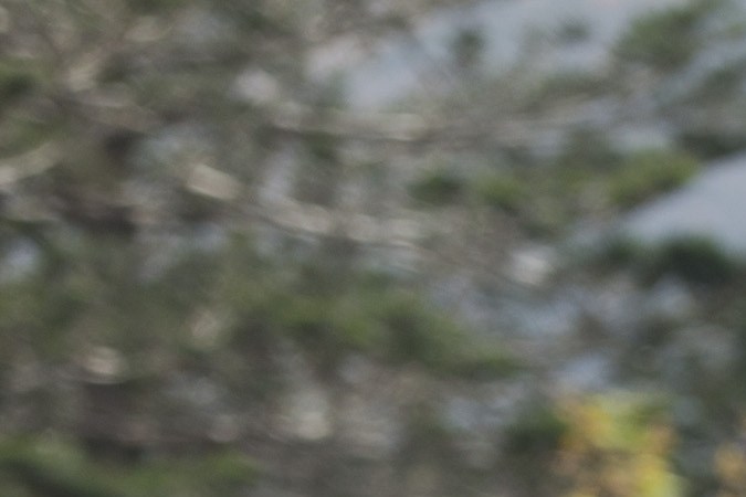 cómo transaportar un kayak sin a rack