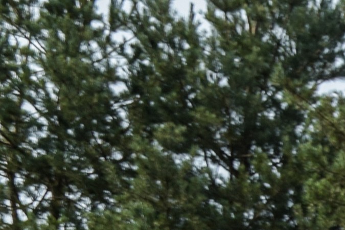 Las mejores opciones de autos usados para jóvenes por menos de $20,000