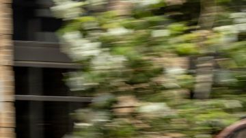 Los SUV con mejor rendimiento de gasolina en 2025