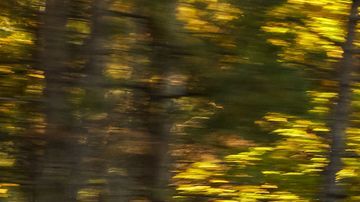 Volkswagen Taos 2024