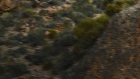 BMW X3 2025