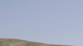 2025 Volkswagen Jetta GLI