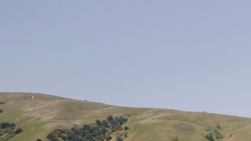 2025 Volkswagen Jetta GLI