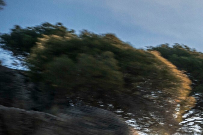 Audi RS Q8 Performance: el más poderoso SUV de la marca