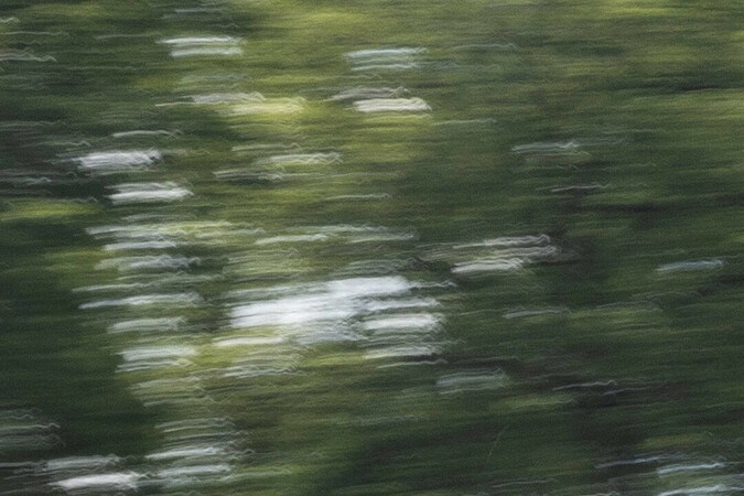 Audi RS 3 2025 rompe récord para autos compactos en Nürburgring