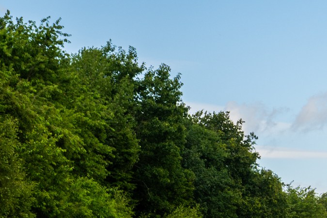 Aspark SP600 logra récord de velocidad para un auto eléctrico