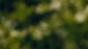 Volkswagen reveló el Golf GTI Clubsport 2025, el más potente de la línea