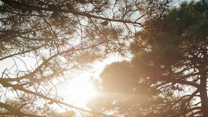 Snuuzu cama inflable Tesla