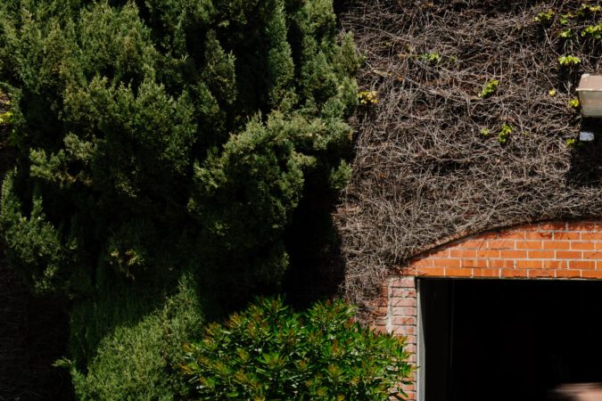 Toyota quiere conquistar Norteamérica con estos nuevos camiones