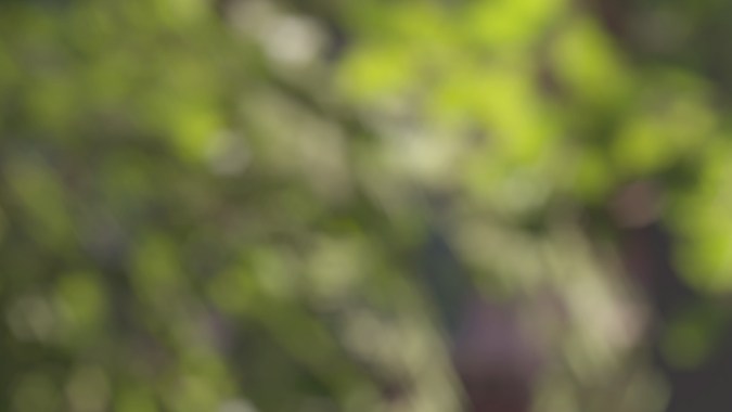 Verne: vehículo autónomo y eléctrico