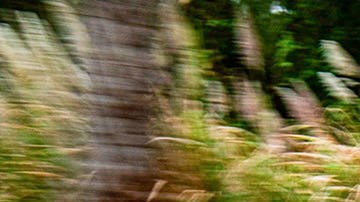 Primer auto de esta super marca china será producido en Latam