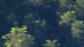 ¿Cuál es el Tesla más barato y qué ofrece?