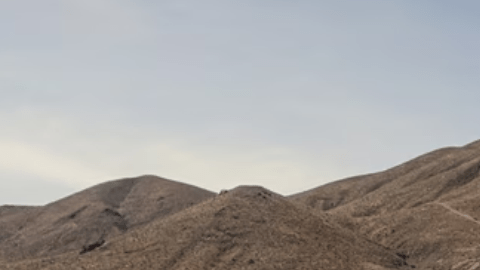 Tipos de Mustang: las variantes de este carro que marcó al mundo