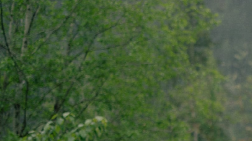 Rivian actualizó sus modelos R1T y R1S y ahora tienen más de 1,000 hp