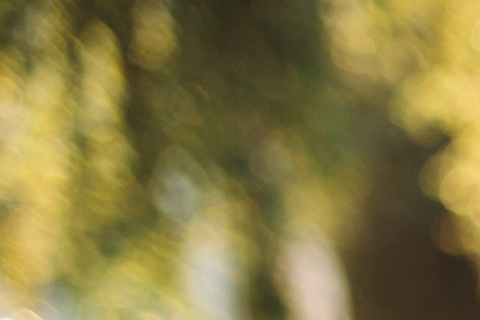 Qué documentos debe llevar al conducir en USA para evitar multas