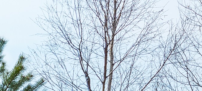 Cómo conducir en el lodo