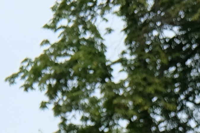 Ford F-150: historia del pick-up más icónico de USA