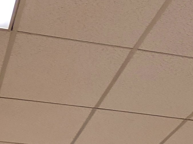 examen de manejo en washington