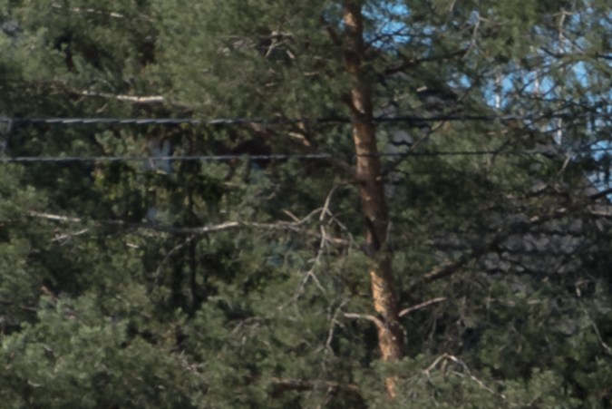 Willys MB Jeep: La leyenda del desembarco de Normandía