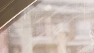 ¿Es seguro dejar a los niños en el coche? ¿Cuáles son los peligros?