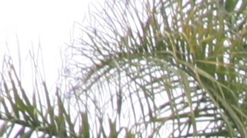 grúas para motocicletas