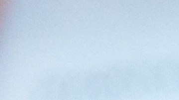 licencia que pueden solicitar los extranjeros en Texas