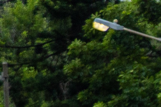 Por qué comprar autos con daños por inundación puede ser rentable