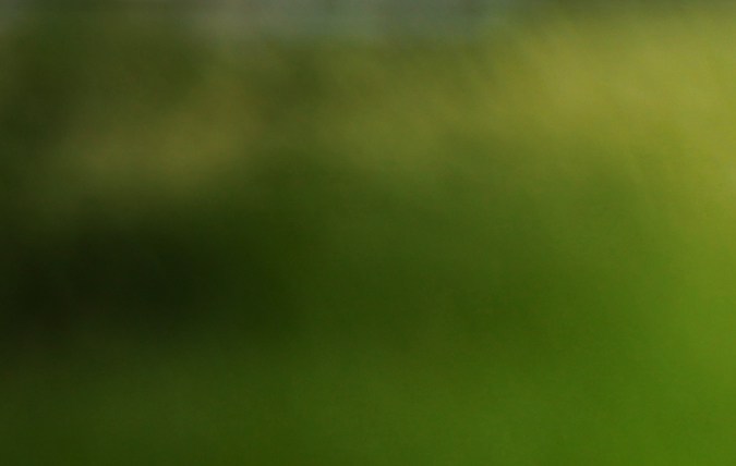 cómo pedir una prueba de manejo al concesionario