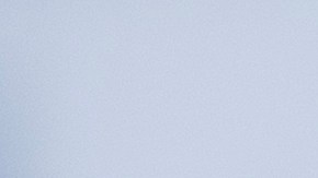 licencia de conducir digital en New York