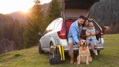 Gadgets esenciales para mejorar tu experiencia de viaje por carretera