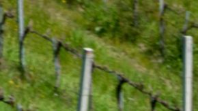 Renace el mítico Alfa Romeo Alfasud: conoce el Alma Sprint