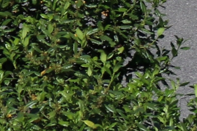 que significa linea amarilla discontinua separando carriles