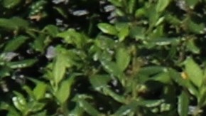 que significa linea amarilla discontinua separando carriles