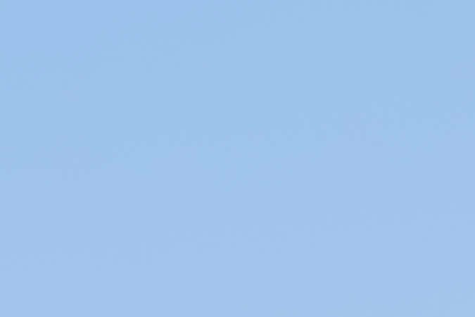 A qué pilotos de monoplazas latinos debemos prestarle atención en 2024