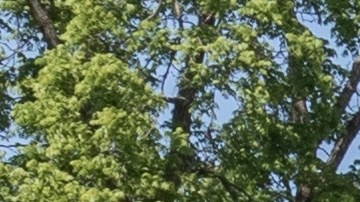 Así funciona la suspensión de alta tecnología de la Colorado ZR2 Bison