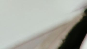 Trucos para desatascar un filtro de aceite y prevenir que no ocurra