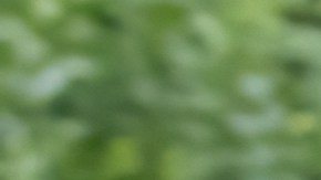 Qué extras de una moto conviene elegir