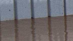 Por qué comprar autos con daños por inundación puede ser rentable