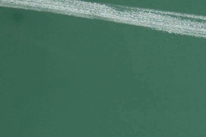 licencia de aprendizaje florida online