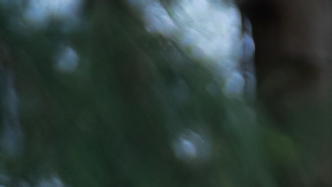 planear un viaje en auto eléctrico