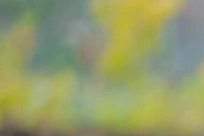 taller de frenos y balatas cerca de mi ubicación