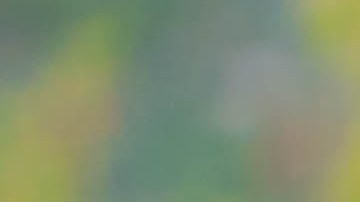 taller de frenos y balatas cerca de mi ubicación