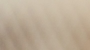 Un estudio revela cuáles son los autos que menos fallan