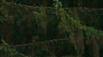 Cómo rescatar tu vehículo de una zanja: consejos y herramientas